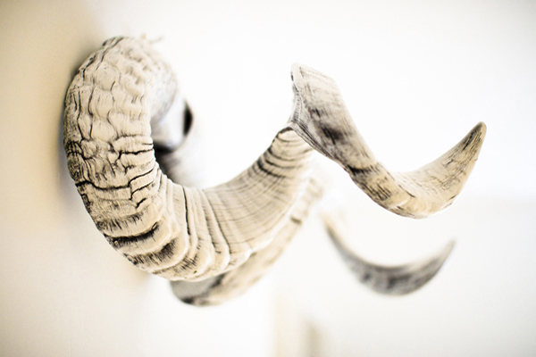 15-all-saints-road-image