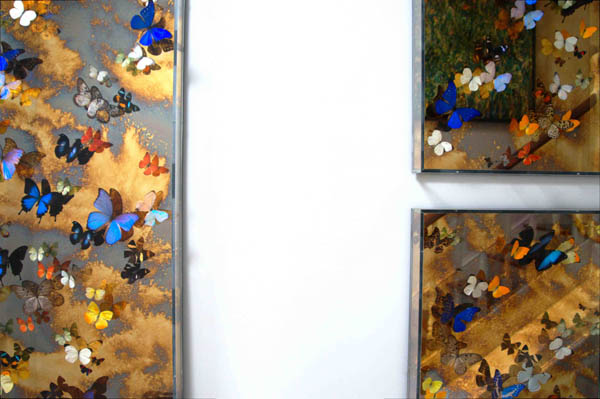 holland-park-2-image