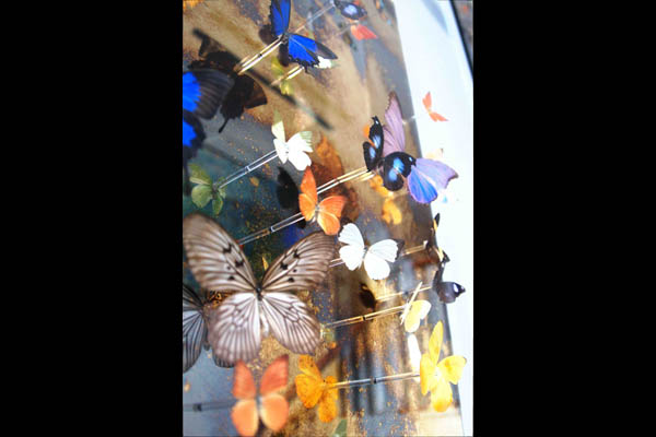 holland-park-2-image